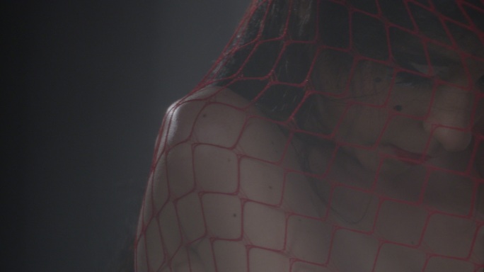 性感的黑发时尚模特被困在红色网中