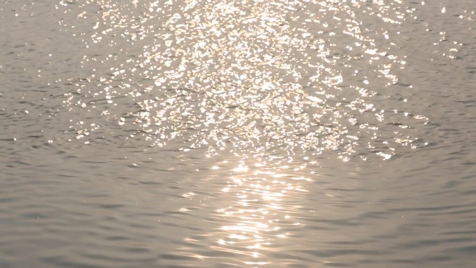 湖景_湖泊风光_湖边花草美景_湖面波光