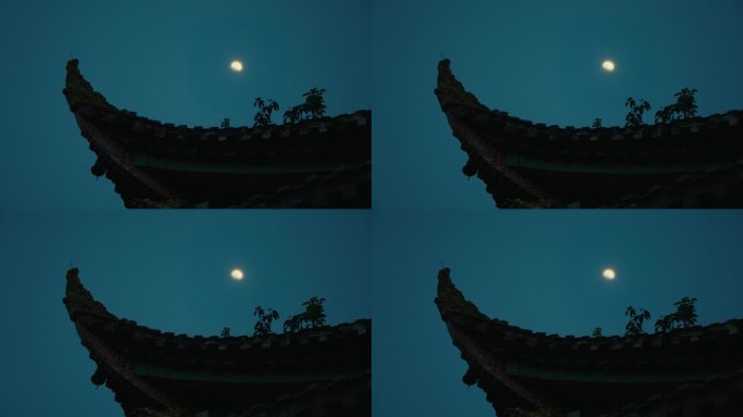 夜晚月亮当空