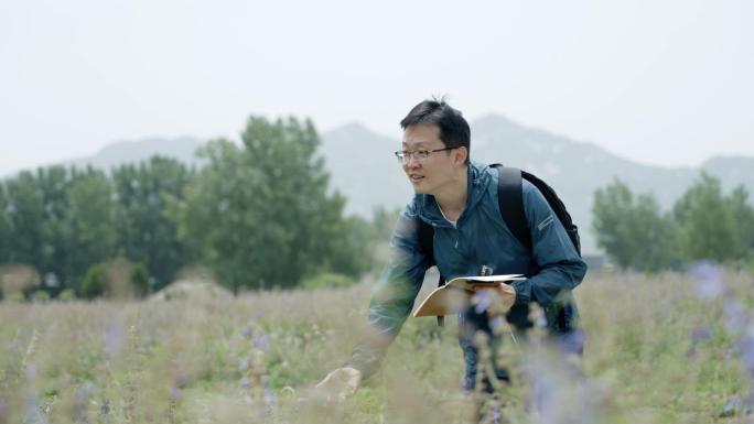 中草药丹参种植基地研究员记录丹参生长过程