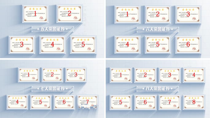 荣誉分类展示