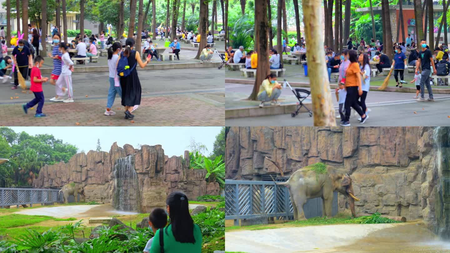 假期游玩 假期出行 成都动物园