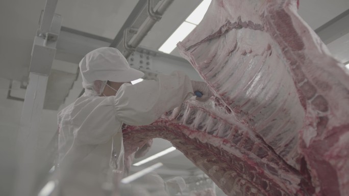牛肉加工厂 切割大块牛肉
