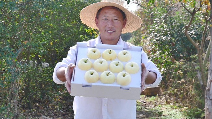 黄金奶油苹果