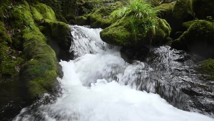 唯美生态流水山水清泉石头苔藓高清视频