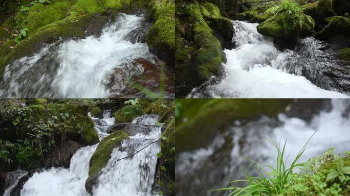 唯美生态流水山水清泉石头苔藓高清视频