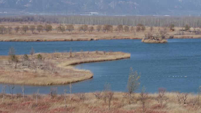 野鸭湖