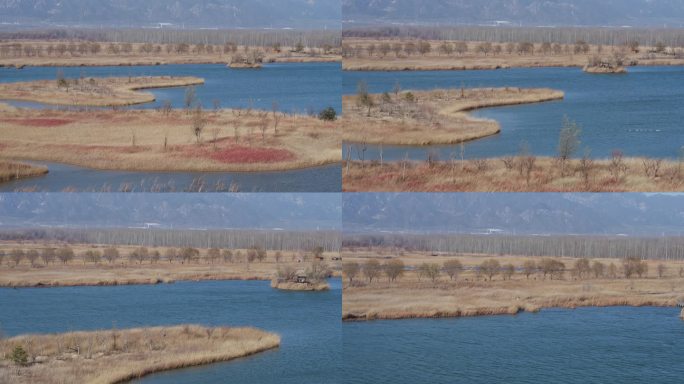 野鸭湖