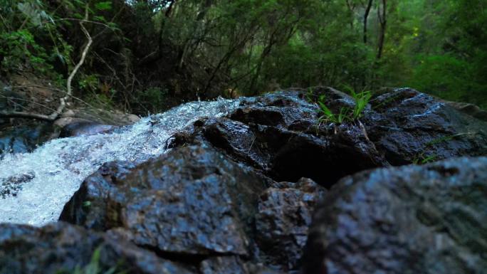 山谷溪流纯净优质水源
