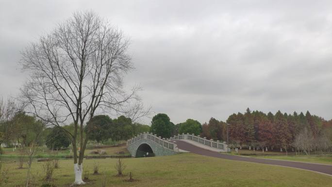 金仓湖 梅村桥