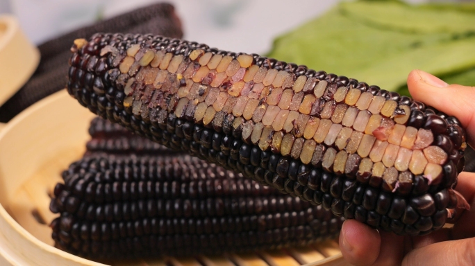 黑糯玉米素材 黑糯玉米视频 黑黏玉米