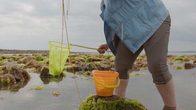 海上发现赶海海边采集赶海人