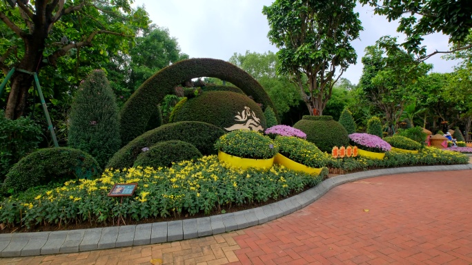 南宁青秀山公园花园花坛 菊花展