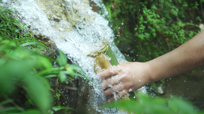 山泉水 水源