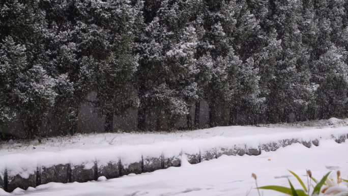 冬日雪景校园4K空镜