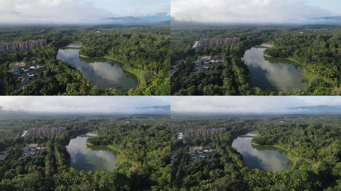 植物园湖泊全景航拍素材（4K）