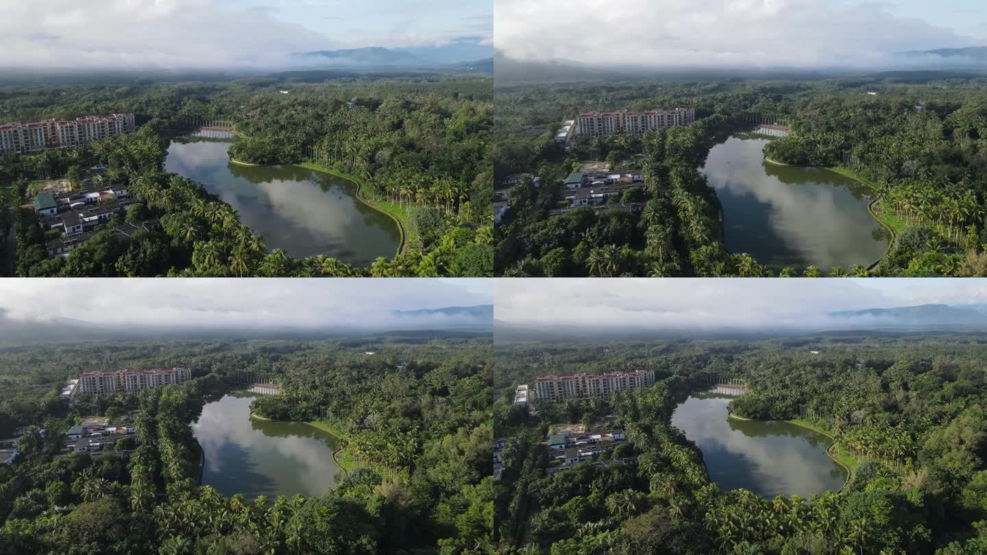 植物园湖泊全景航拍素材（4K）