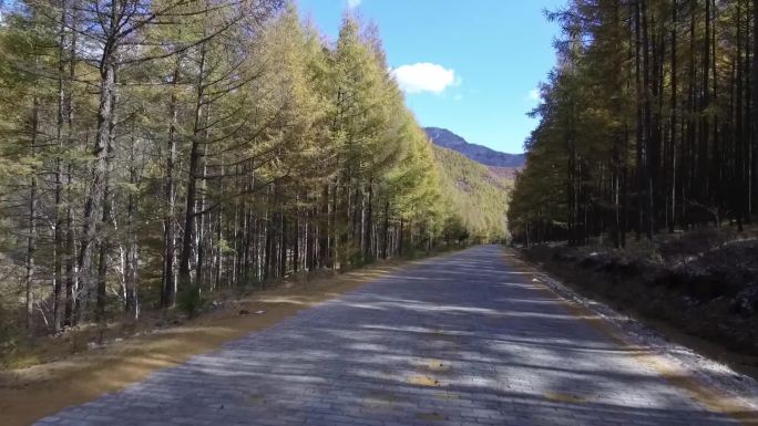 路 山路 景观道 道 盘山路