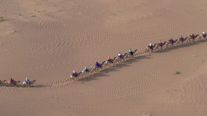 中卫沙坡头沙漠骑骆驼