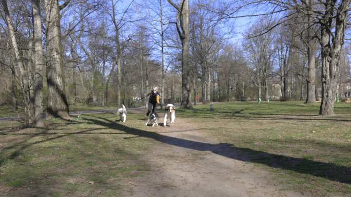 年轻的女人带着她的三条狗去公园跑步