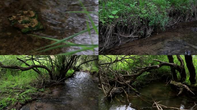 陕西延安湿地保护实拍高清素材