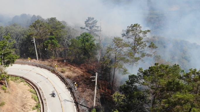 泰国公路旁的森林火灾