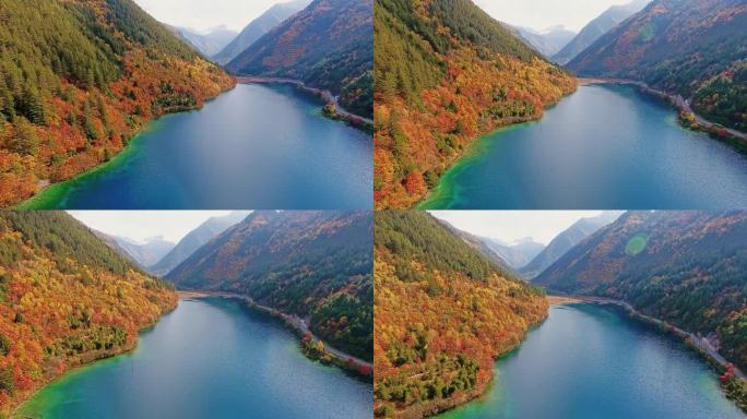 航拍九寨沟犀牛海秋天彩林秋色