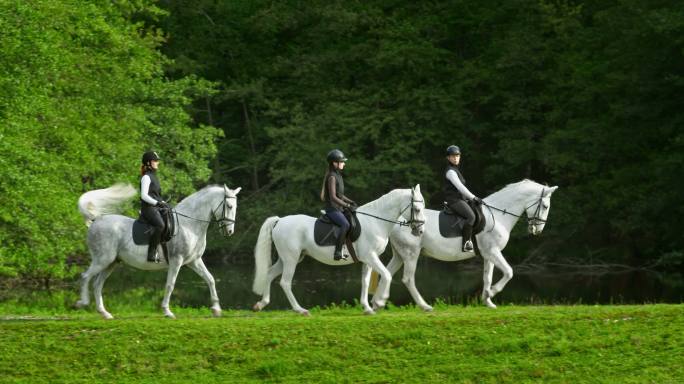 TS三名骑白马的女骑手在湖边