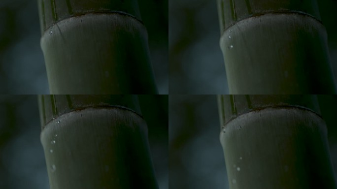 高速摄影水滴从竹子上滴落慢镜头慢动作4K