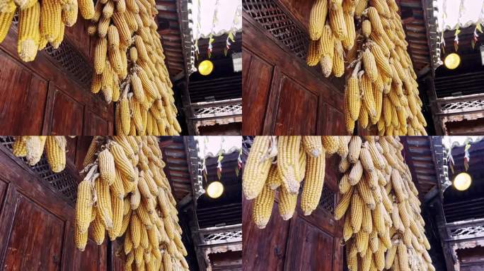屋檐玉米农村人家老玉米玉米串农家