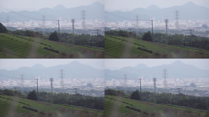 茶园与城市背景郊区山地土地田野