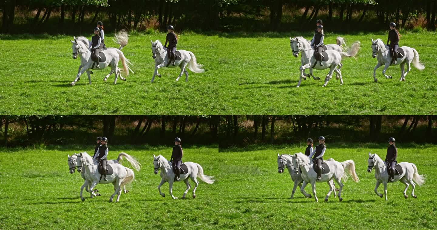 SLO MOTS三个女人骑着疾驰的马穿过草地