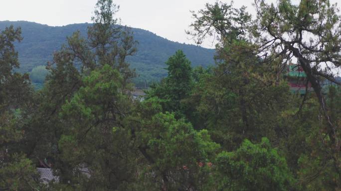 航拍郑州嵩山少林寺