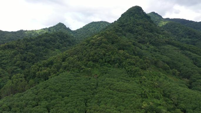 海南热带雨林国家公园 4K航拍