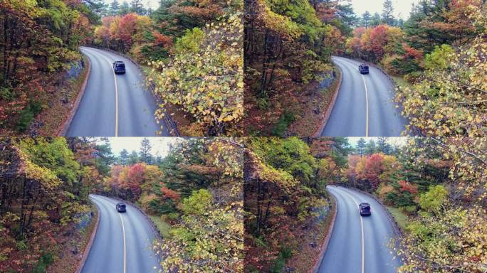 跟车航拍九寨沟景区公路美丽秋色彩林风光