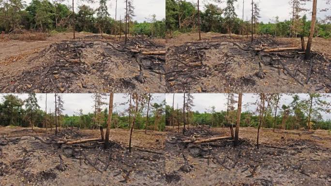 刀耕火种对环境的破坏