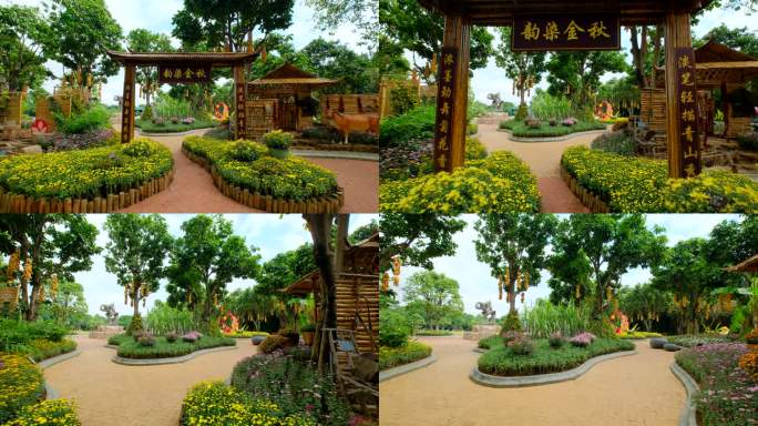 南宁青秀山公园花园花坛 菊花展 竹楼