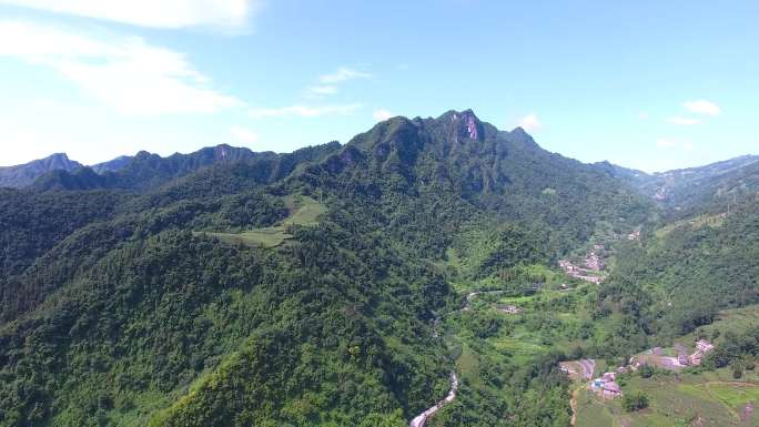 4K航拍壶瓶山风景区主峰森林