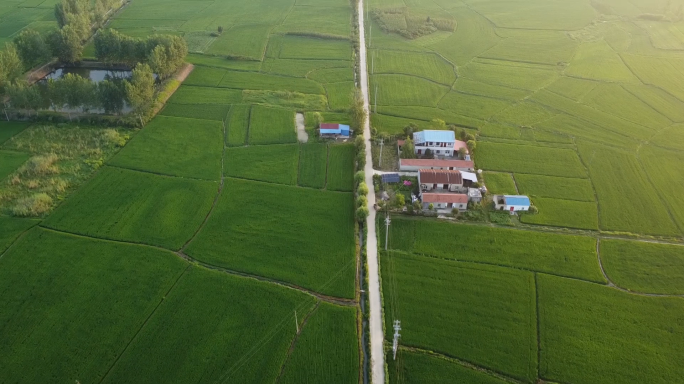 美丽乡村，乡村航拍，夏季的乡村