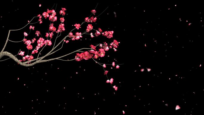 桃花枝条树枝开花花瓣飘落-带透明通道