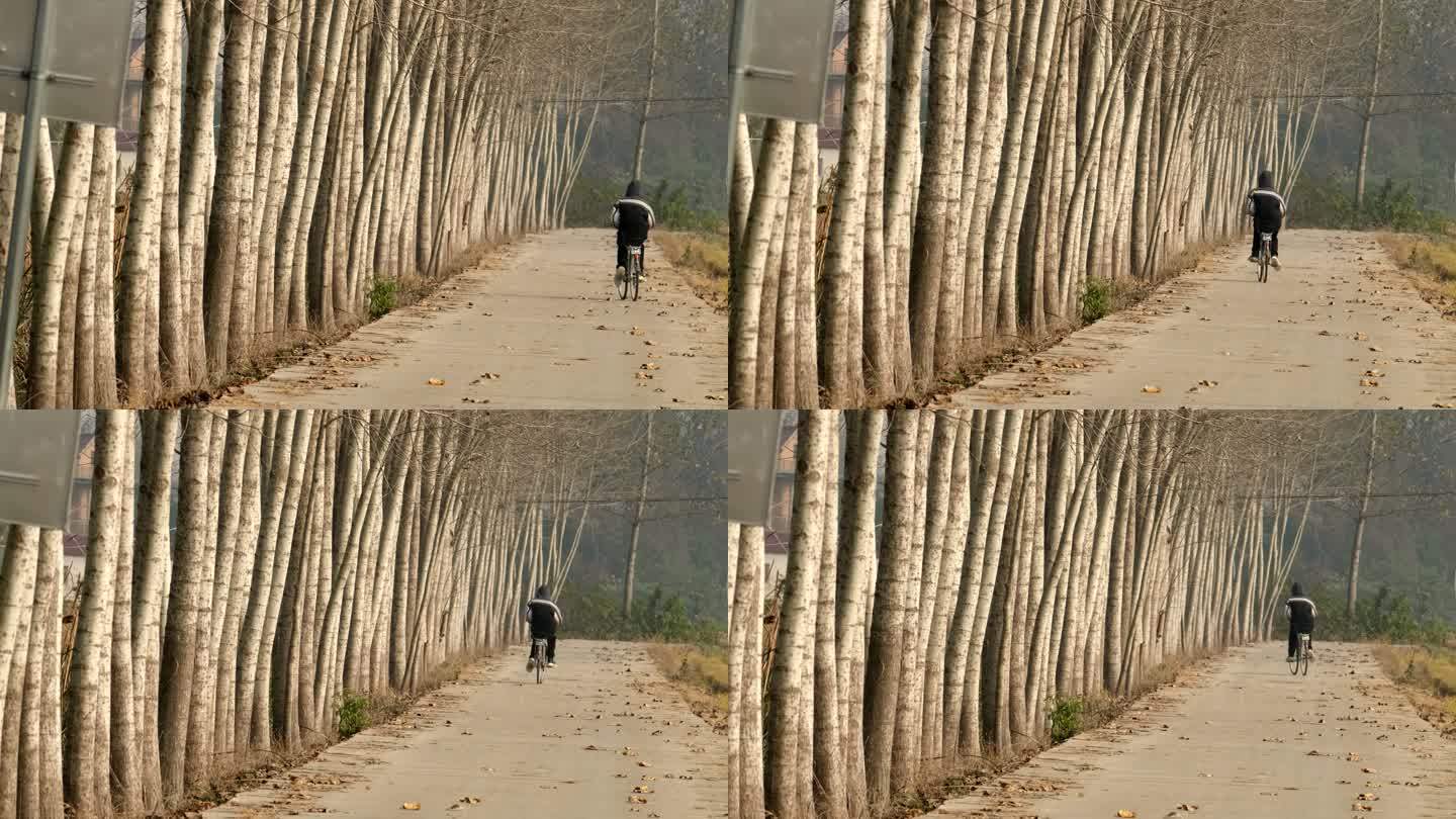 小伙骑着自行车远去
