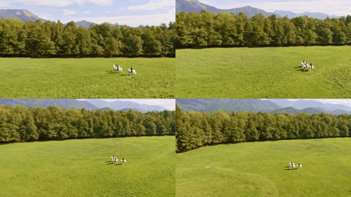 三个人骑着奔跑的白马穿过草地