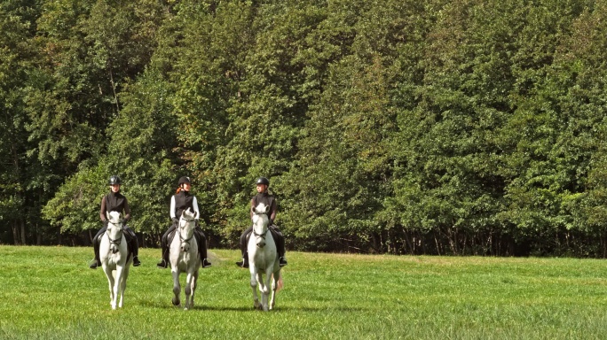 三个女人骑着白马穿过阳光明媚的草地