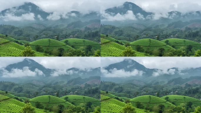 越南北部河内附近的新山区Long Coc茶园周围移动雾和云的时间流逝