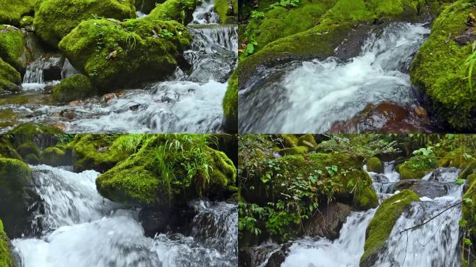 唯美生态流水山水清泉石头苔藓高清视频