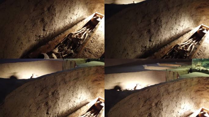 柳湾彩陶 博物馆 历史 乐都区 专题片