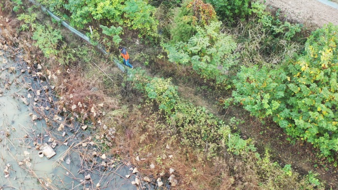 洪湖农村 乡村 航拍 洪湖航拍 农田藕塘