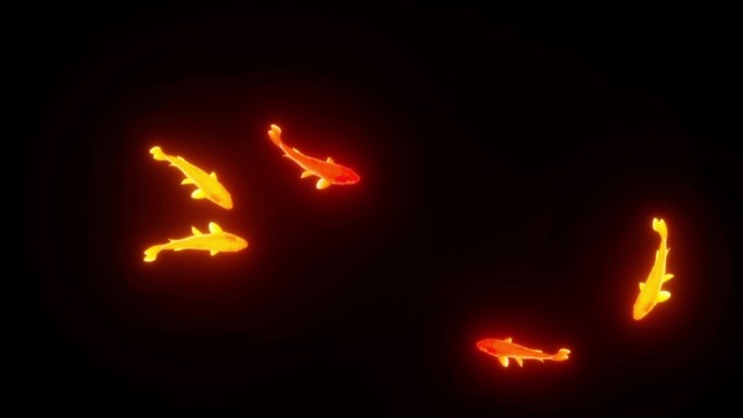鱼 发光 金鱼 锦鲤 红鲤鱼 鱼群