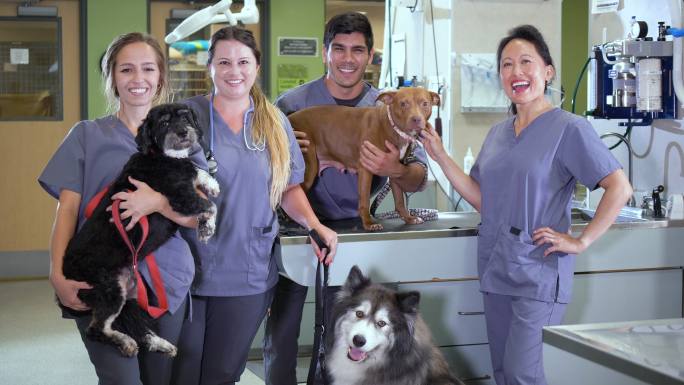 动物医院的工作人员带着狗，对着镜头微笑