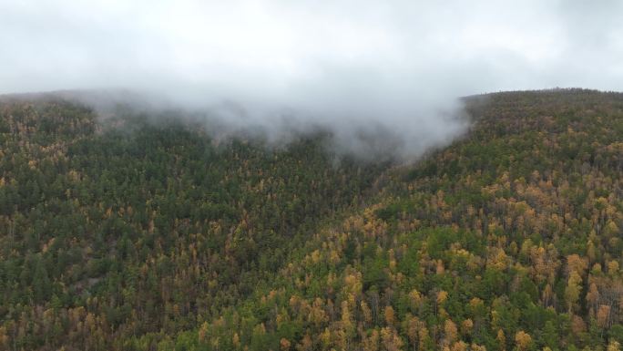 航拍秋季雨雾中的茂密山林